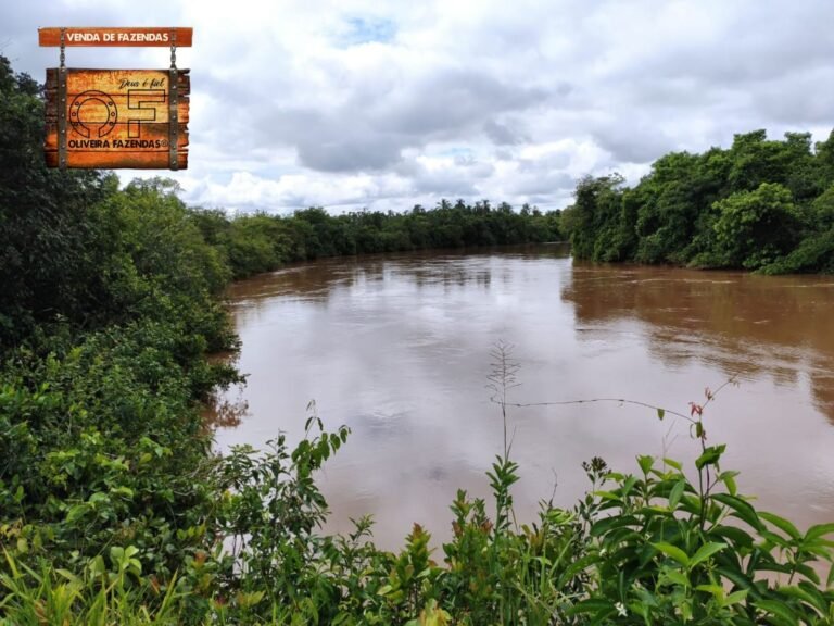 540 hectares à venda Região de Ribas do Rio Pardo