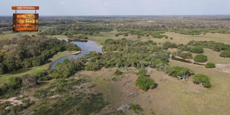 10500 hectares Região do Pantanal de Rio Negro MS